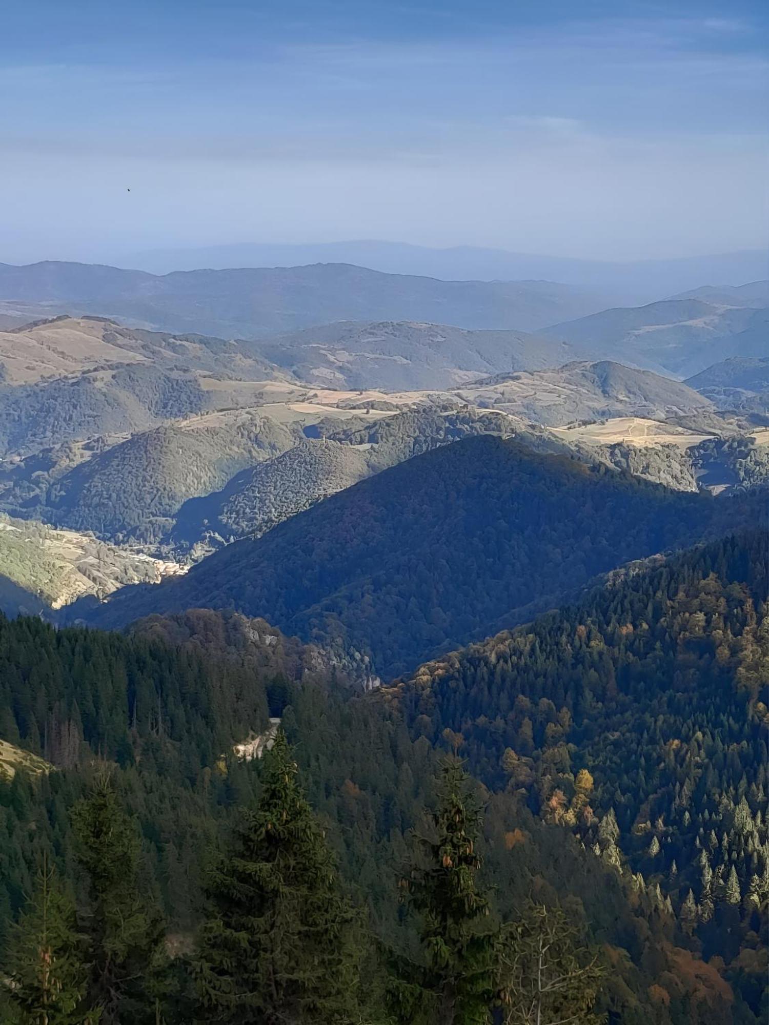 Apartman Heights N97 And Wellnes Kopaonik